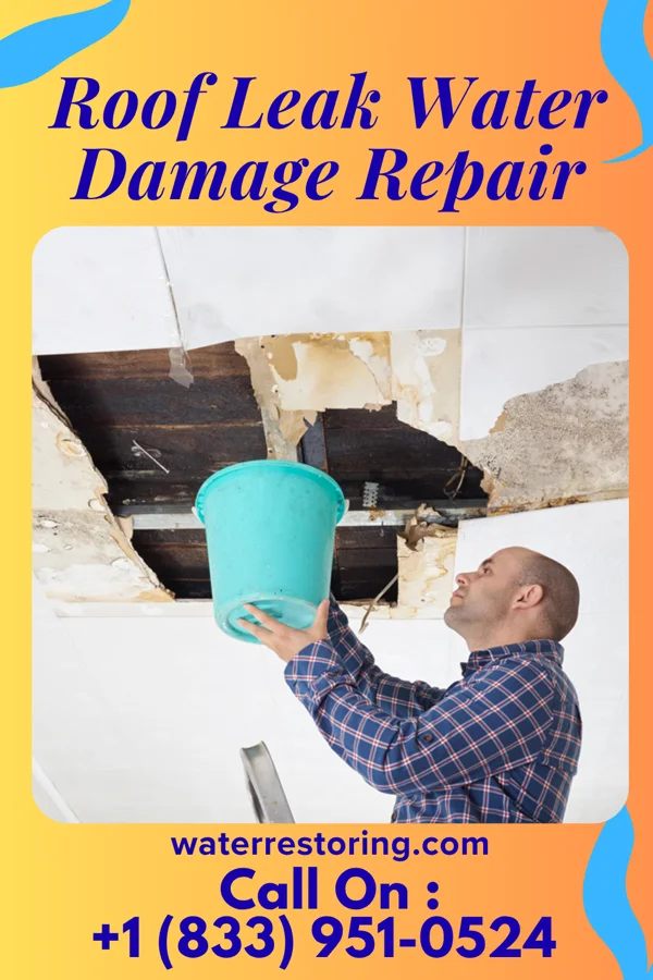 Roof Leak Water Damage Repair in Uhland, TX