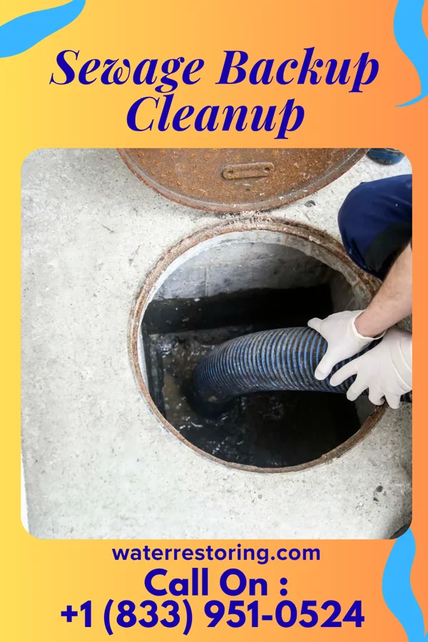 Sewage Backup Cleanup in Uhland, TX
